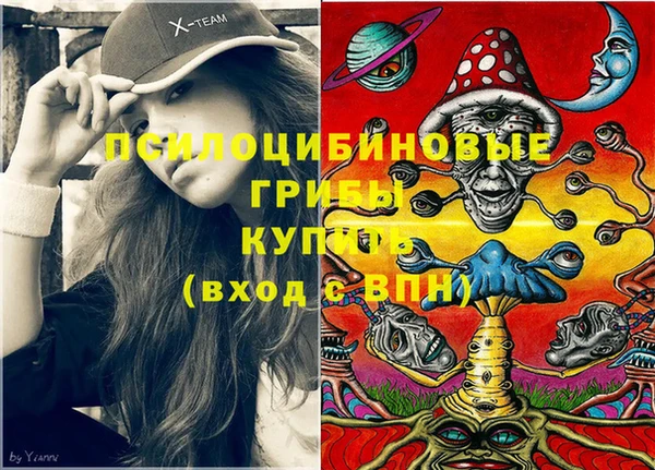 твердый Абаза