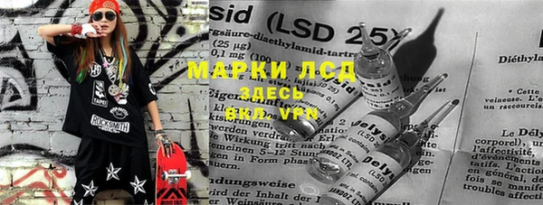 ALPHA-PVP Новозыбков